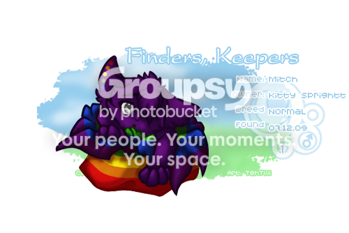 User Image